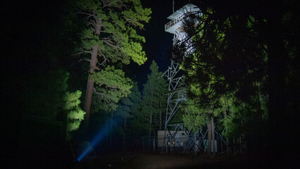 light in the forest © Rob