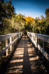 Obraz premium wooden bridge in autumn