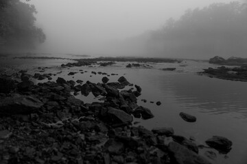 Grayscale shot of the coast in a foggy day
