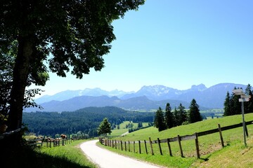 Countryside road alongside the wooden fencing and the field with the mountains in the background
