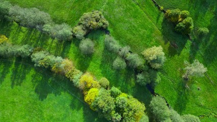 Aerial top shot of the beautiful green trees and fields