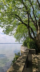 Obraz na płótnie Canvas Sommer Urlaub am schönen Bodensee mit blauen Himmel und Sonnenschein