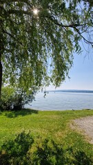 Urlaub am schönen Bodensee Radolfzell am Bodensee Sommer