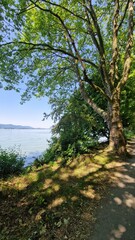 Fototapeta premium Sommer Urlaub am schönen Bodensee mit blauen Himmel und Sonnenschein