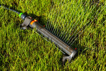 Grass swing sprinkler watering the lawn in the backyard of a house. - obrazy, fototapety, plakaty