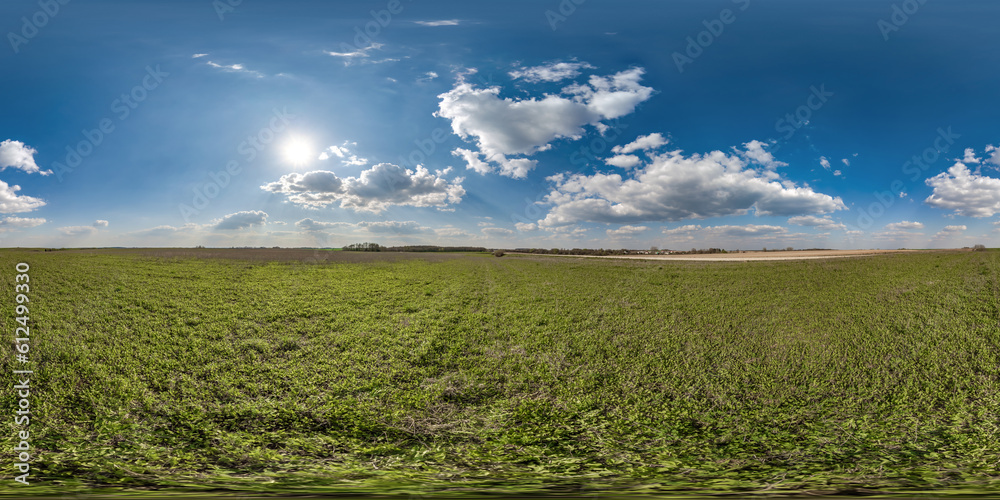 Canvas Prints spherical 360 hdri panorama among green grass farming field with clouds on blue sky with sun in equi