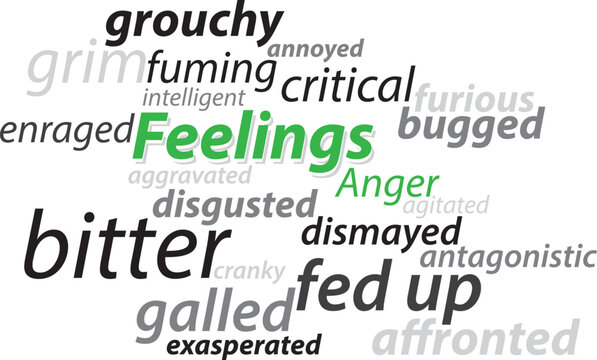 Feeling Anger vector lettering words synonyms graphic concept vector illustration