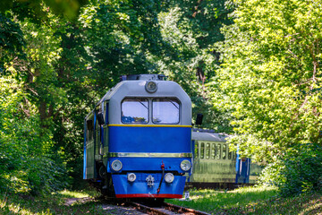 Diesel locomotive pulls a passenger train along a narrow gauge railway through the forest.