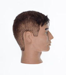 male mannequin head with hair isolated on white background