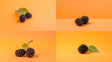 Blackberry on orange background
