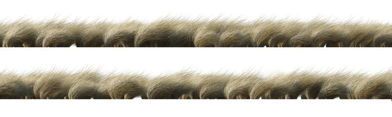 Field of wild dry grass bent by the wind isolated png on a transparent background perfectly cutout high resolution frontal