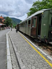 Fototapeta na wymiar Long old gauge train on stone floor with railway station with trees, vertical shot