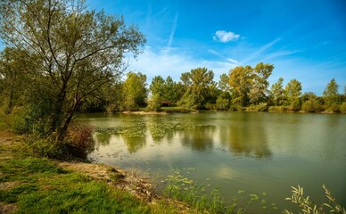 Fototapeta na wymiar Landscape scene of green trees reflecting on a lake under blue sky in the summer