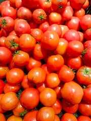 Vertical shot of red tomatoes being sold in the market