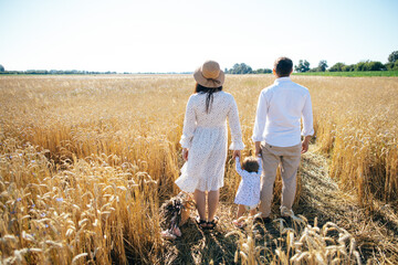 Happy family on a summer walk, mother, father and child walk in the wheat field and enjoy the beautiful nature, at sunset