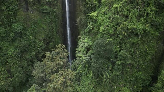 Aerial view of the Madakaripura Waterfall and nearby green trees in Java, Indonesia