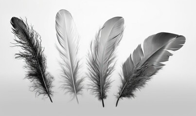  a group of three feathers sitting on top of a white table top next to a white wall and a black and white photo of three feathers.  generative ai