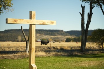 Wooden cross in the field in front of the cattle