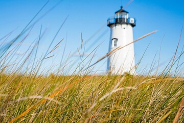 Grass in a field with a big white blurry lighthouse there