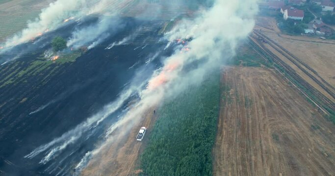 Aerial view of field fire, dy grass buring among the green rice and wheat fields. Aerial view of the clear fire separation line and black layer of burning field and ash