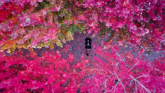 Bird's eye view of the female lying in the forest full of pink trees