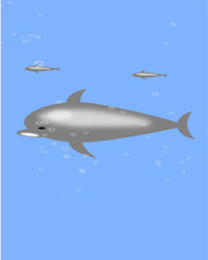 Naklejka na ściany i meble dolphins in a transparent ocean