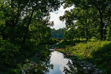 Narrow river in the Forest Park in St. Louis, Missouri surrounded by the green trees - obrazy, fototapety, plakaty