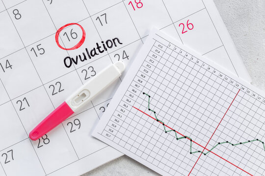 Fruchtbarkeits-Kalender Bilder – Durchsuchen 5,838 Archivfotos 