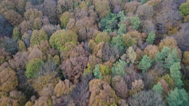 Aerial view of a highway with colorful trees around in Solingen in Germany