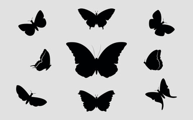 A set of silhouettes of butterflies. Black silhouettes. Vector on gray background