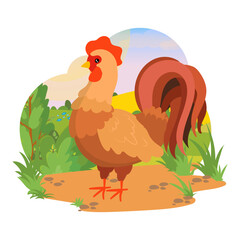 Cock. Rooster. Agricultural animals. Domestic birds. Village. Farm. Vector illustration on a white background.