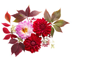 autumn concept. floral corner mockup of red and lilac dahlias and wild grape leaves on a transparent background. Top view and  flat lay