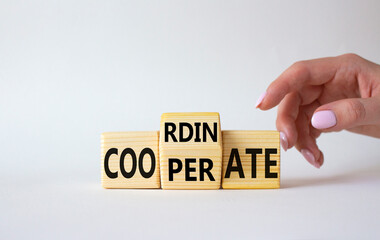 Cooperate and Coordinate symbol. Businessman hand points at wooden cubes with words Cooperate and Coordinate. Beautiful white background. Business concept. Copy space