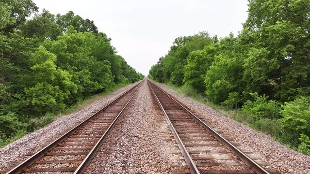 Walking down railroad tracks with trees and birds.