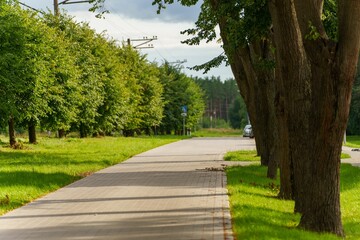 Beautiful view of an empty pedestrian road on a sunny day