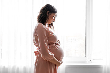 Young pregnant woman near window at home