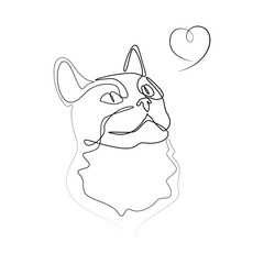 Cat face line drawing, vector illustration. Cat and heart. Home pet. The cat is human friend