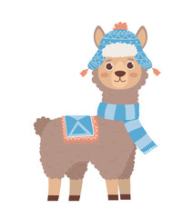 Cute lama concept