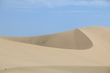 Fototapeta na wymiar Sand dunes in a desert