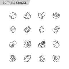 Nut flat line icon collection. Hazelnut, pecan, almond, chestnut, pistachio, walnut, peanut isolated set. Editable stroke. Vector illustration..