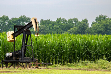 Pump Jack Near Cornfield