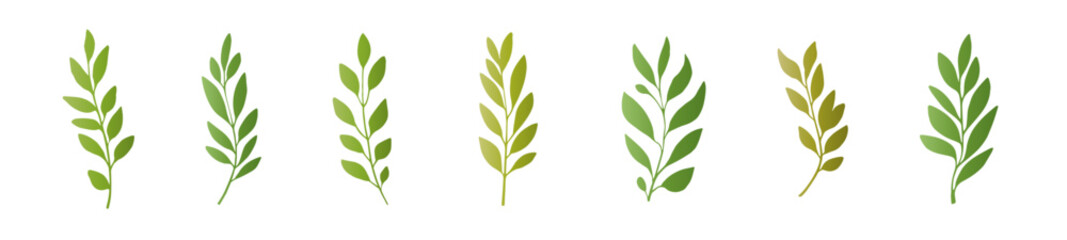 Floral set of laurel and olive branches. Isolated vector flora elements on a white background. Botanical vector illustration.