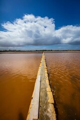 Fototapeta premium Vertical view of a fence splitting the muddy water of Saline di Trapani e Paceco