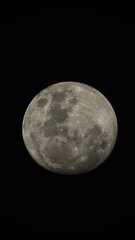 Vertical shot of the full moon isolated on a black background.