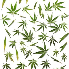 Naklejka na ściany i meble Cannabis plant, flowers, buds, ai generated