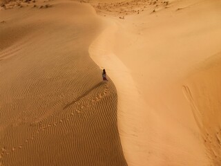 Aerial view of a person walking in the desert - Powered by Adobe