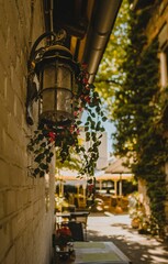 Fototapeta na wymiar Vertical shot of vintage lanterns and plants in a beautiful alley