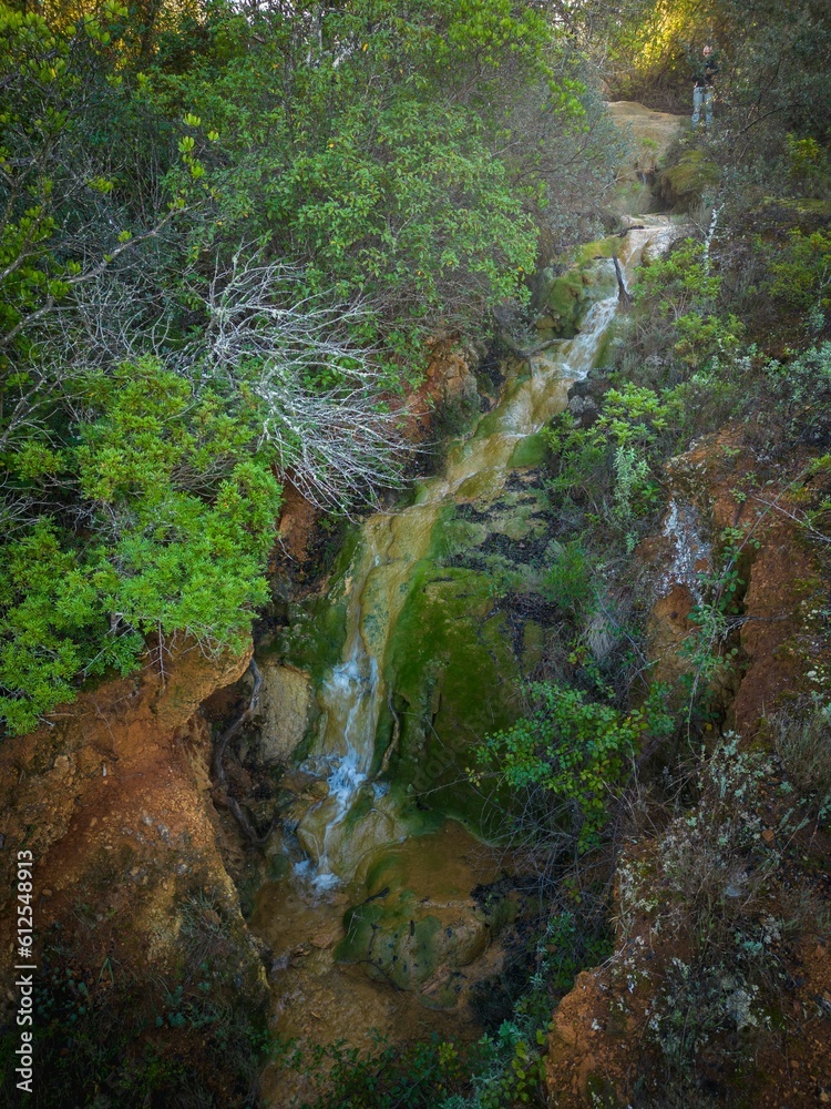 Canvas Prints Vertical aerial view of a beautiful waterfall running in a green forest