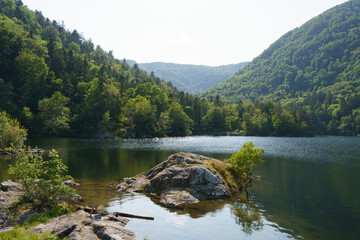 Lac d'Alfred à Sewen, Ballon d'alsace