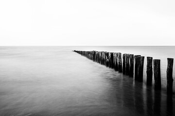 Grayscale of a row of wooden sticks in a sea defending the beach from the waves